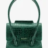 Colette S Alligator
