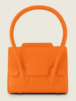 Colette S Sorbet