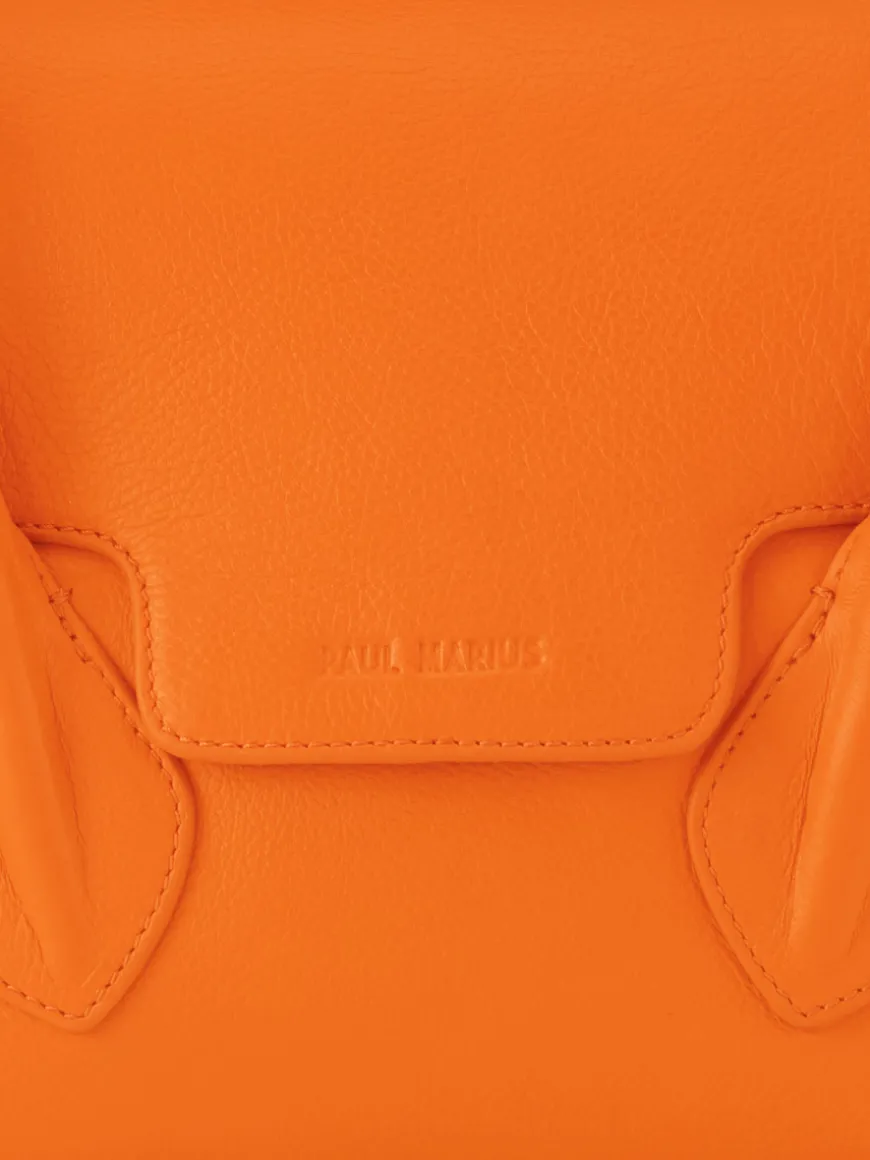 Colette S Sorbet