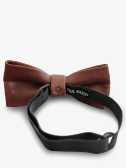 Lenoeud Papillon